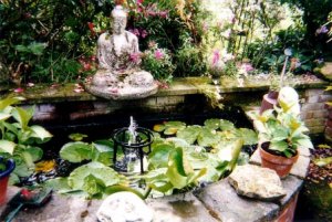water feature