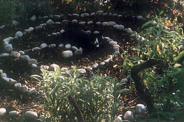 cat in labyrinth