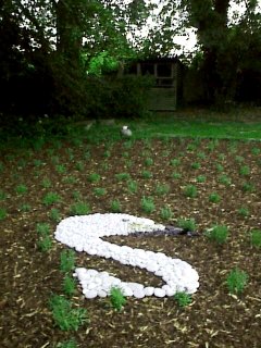 swan labyrinth